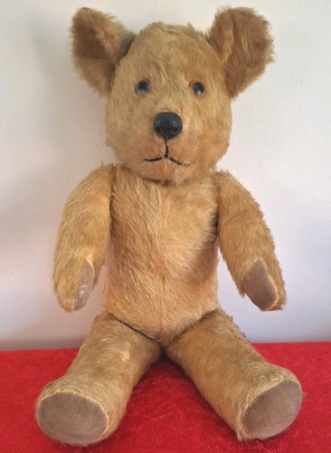 Pedigree 1950s teddy - pedigree,