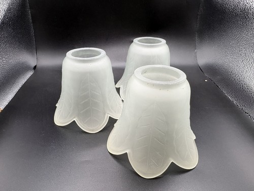Vintage frosted glass tulip - glass,