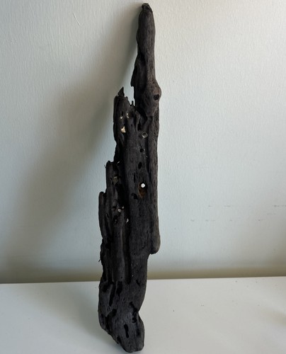Unique driftwood with - 1, holes