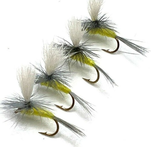 8 dry fly fishing - 6, or