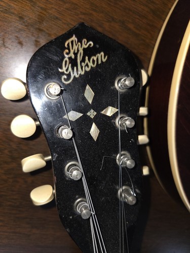 Gibson mandolin banjo - mb, 3