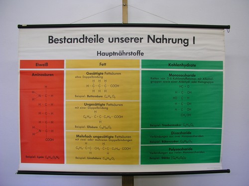 School wall chart components - wall,