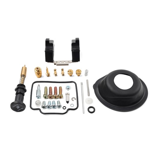 Carburetor repair kit - kit, for