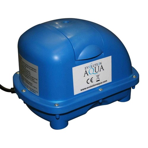 Evolution aqua koi fish pond - aqua,