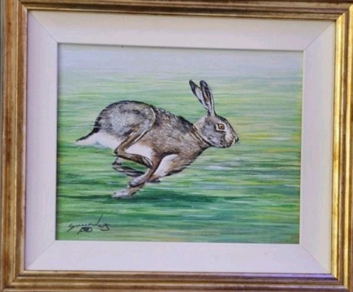 Irish running hare andy - running,