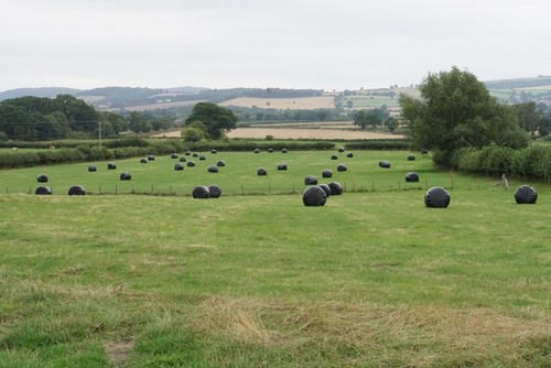 Photo silage bales for - photo,