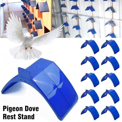 10pcs birds dove pigeon rest - birds,