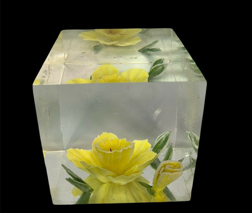 Daffodil paperweight lucite - daffodil,