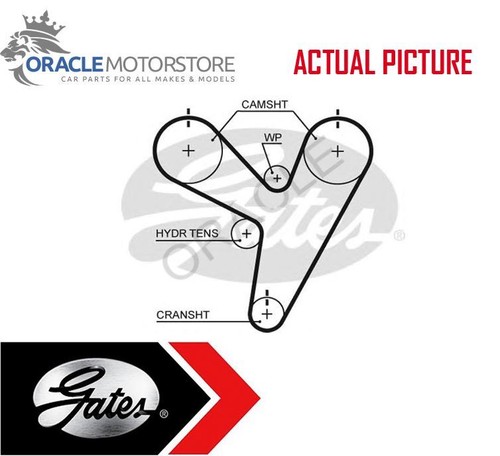 New gates timing - timing, belt