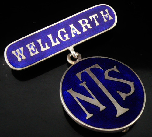 Scarce sterling silver - silver, nursing
