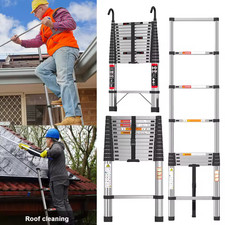 5M Stainless Steel Ladder