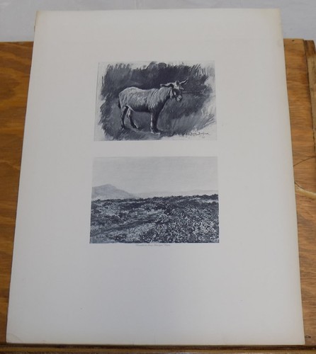 1900 antique animal - antique,