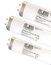 Sunbed Tanning Lamps Magic