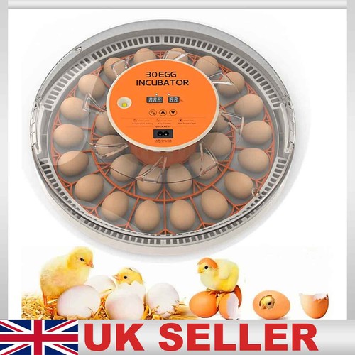 Egg digital incubator - 30,