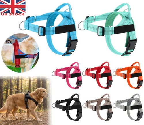 Pull dog harness front - dog, harness,front