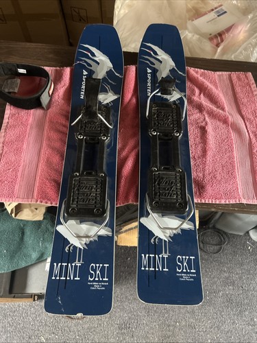 Vintage sporten mini skis - vintage,