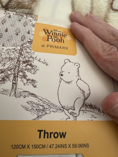 Winnie the pooh blanket - pooh,