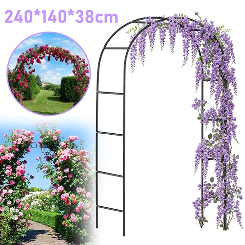 Rose arch climbing - rose,