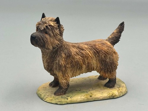 Border fine arts cairn terrier - border,