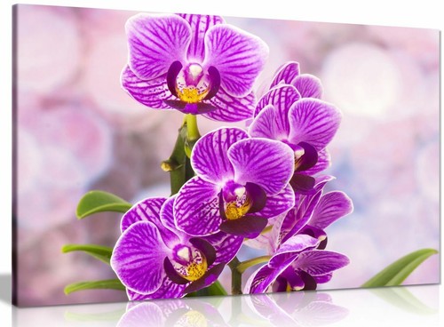 Purple wall art orchid flowers - wall,