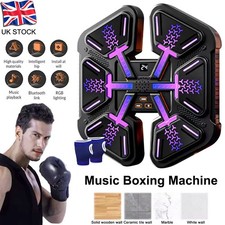 Boxing Training Target Wall