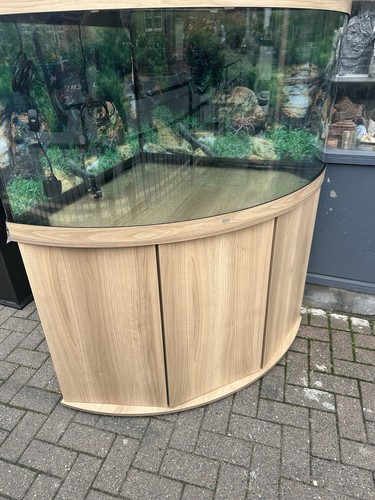 Juwel trigon 350 aquarium - trigon,