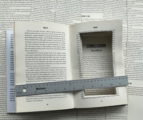 Real book safe secret - book,