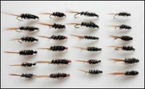 Diawl bach trout - bach,