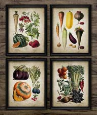 Vegetable Prints Set of 4