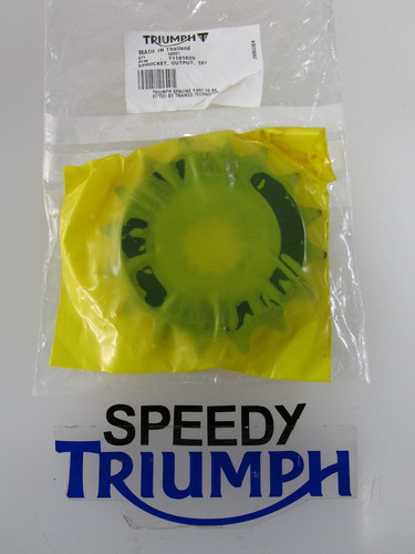 Triumph daytona 675 - triumph,