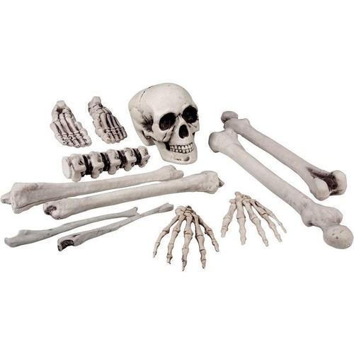 Boland skull bones - skull, 12