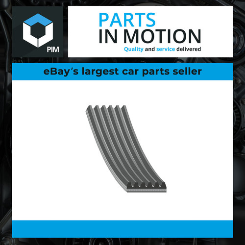 Rib multi drive belt - 6,