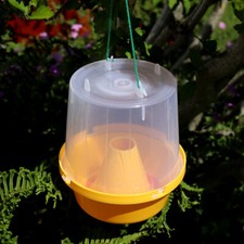 Wasp & Fly Trap Catcher Insect Killer Bug Flying Pest Control Insects Trapper
