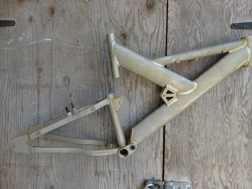 Raleigh team issue downhill - team, p