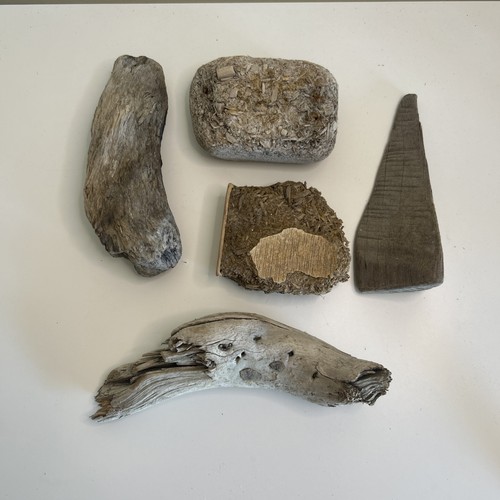 Chunky driftwood mixed - driftwood,