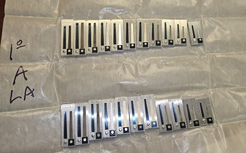 Accordion natural reed set - natural, 34