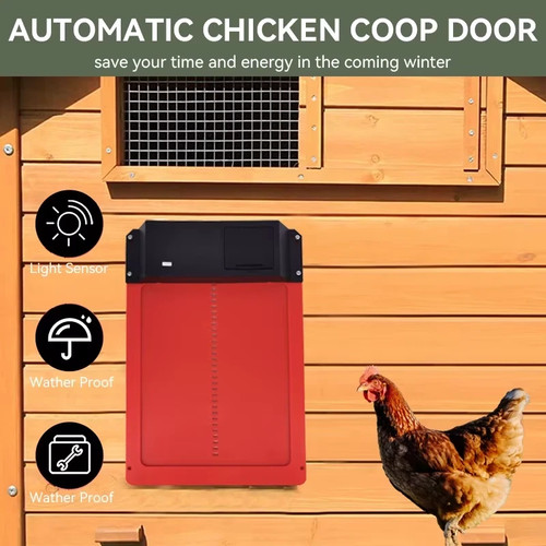 Automatic chicken coop - chicken, door