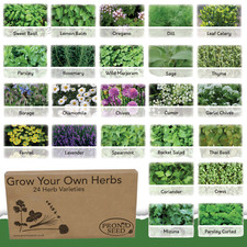 Herb Seeds Mix UK | 24 Herb