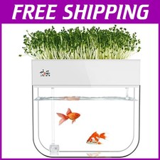 Aquaponic Fish Tank & Seed
