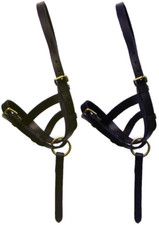 Hy Equestrian Leather Foal Slip Adjustable Halter With Short Handle Black/Brown