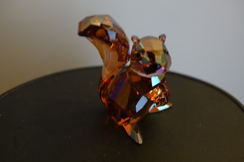 Swarovski squirrel cooper - swarovski,
