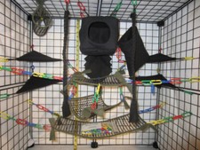 15 pc - Cube Forrest Green Mesh Sugar Glider Cage Set | Sugar Glider Accessories