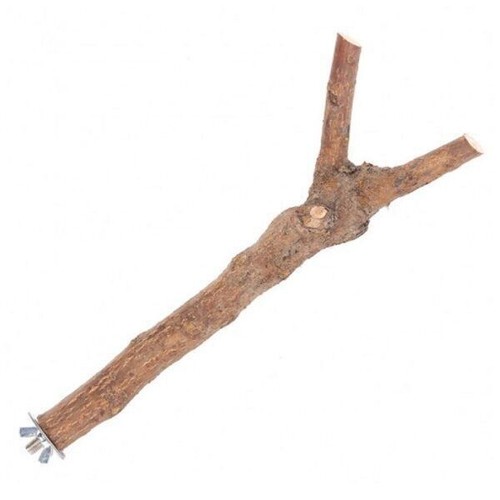Happy pet wooden bird branch - pet,