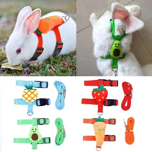 Rabbit harness and - harness, small