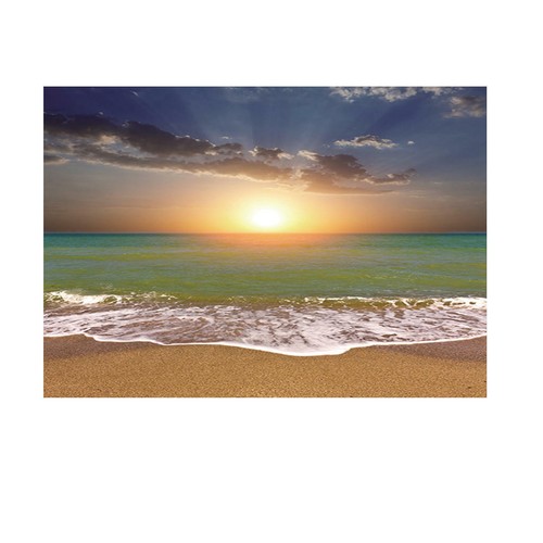 Single sided aquarium backdrop