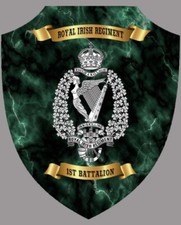 Royal Irish Regiment Military