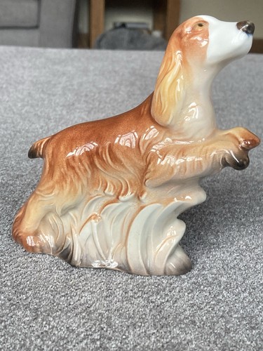 Porcegama cocker spaniel - porcegama,