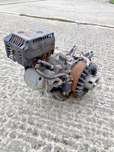 Petrol engine lawn mower - lawn,