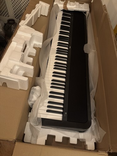 Korg piano - b1,