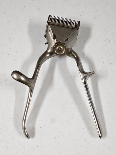 Vintage oster style 000 - style,